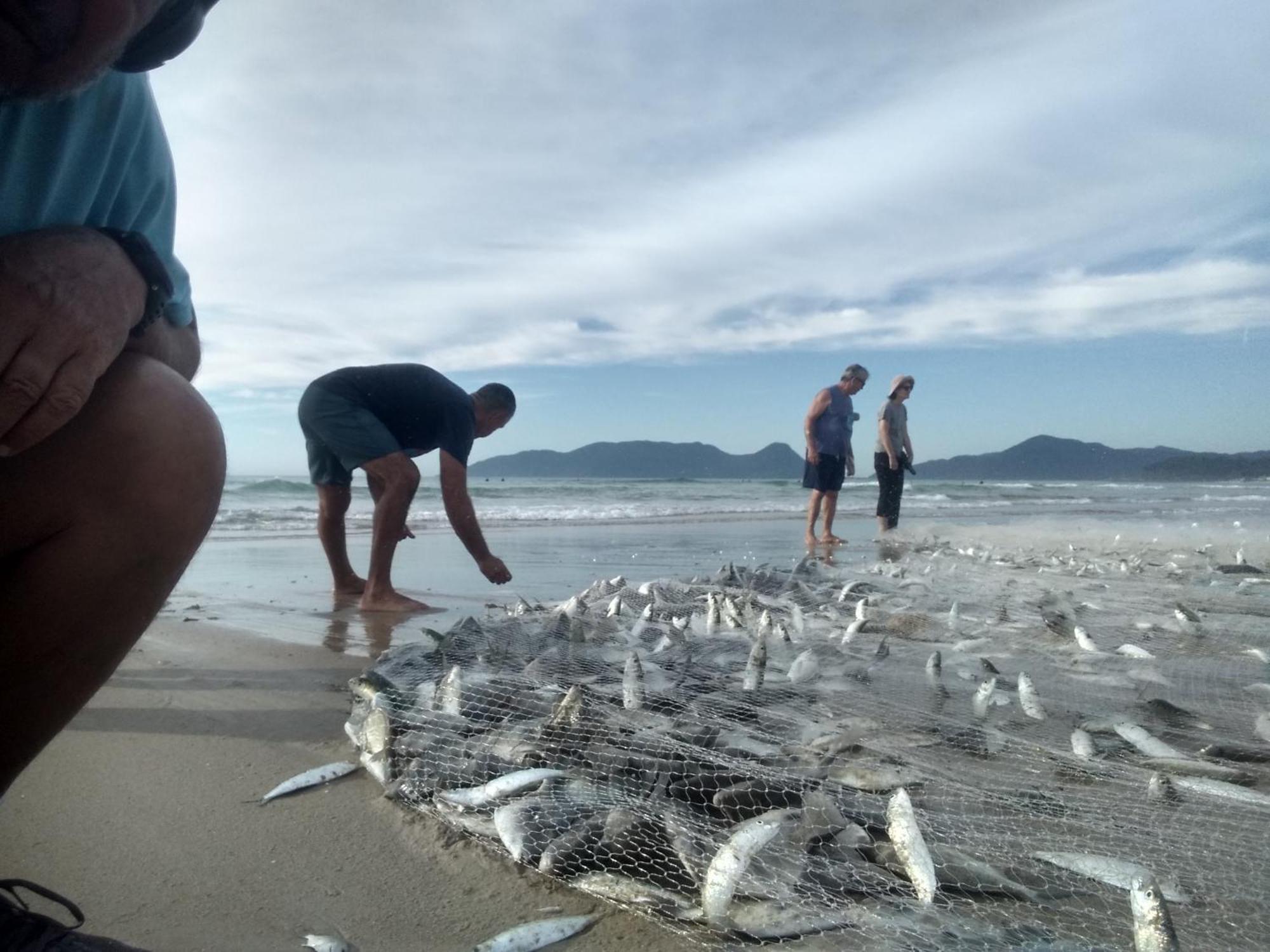 Charmoso E Moderno No Paraiso E Proximo Ao Aeroporto Florianópolis Esterno foto